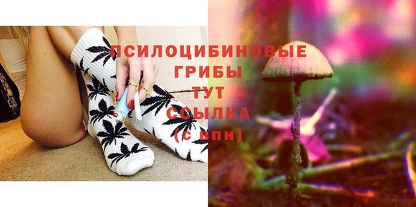 МДПВ Белокуриха