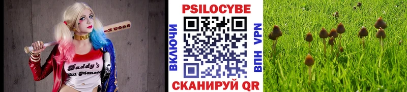 Галлюциногенные грибы Cubensis  Купить  Великий Новгород 